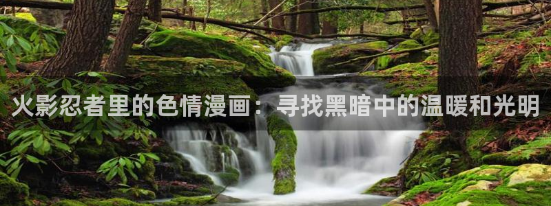 下载漫蛙2正版