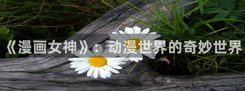 一耽漫蛙