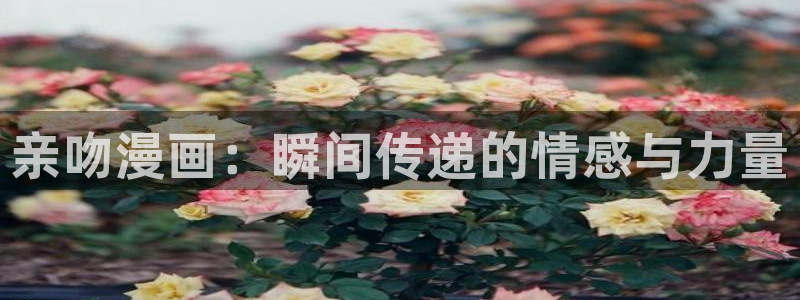 manwa2漫蛙防走失