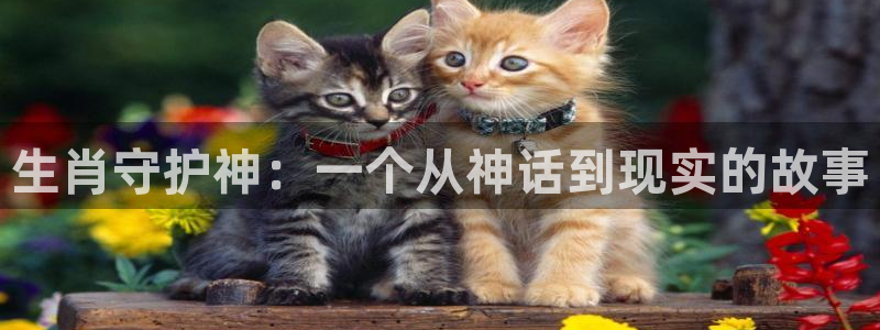 漫蛙网页版打开