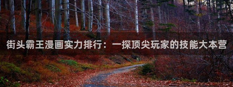 有没有和漫蛙差不多的