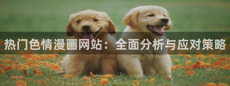 www.漫蛙.