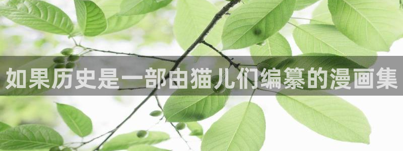 漫蛙免费漫画入口页面