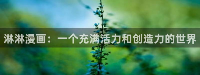 漫蛙官网链接下载