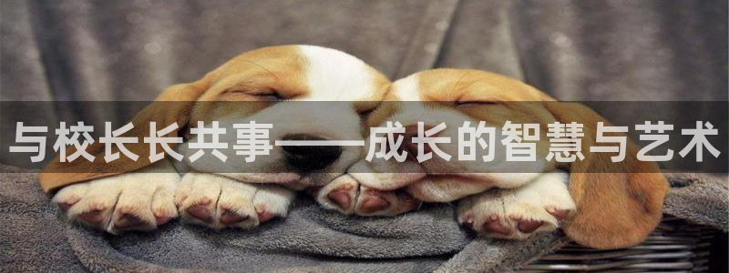 漫蛙下载软件：与校长长共事——成长的智慧与艺术