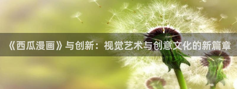 漫蛙2正版无病毒