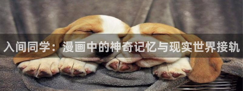 漫蛙漫画.apk
