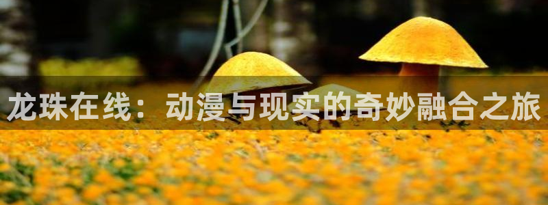漫蛙(官网)