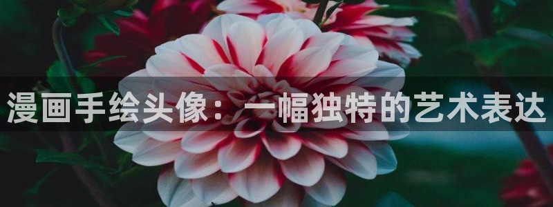 漫蛙吧