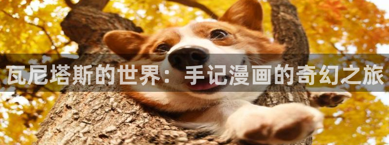漫蛙3下载官网app