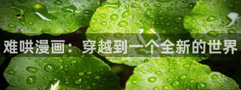漫蛙z
