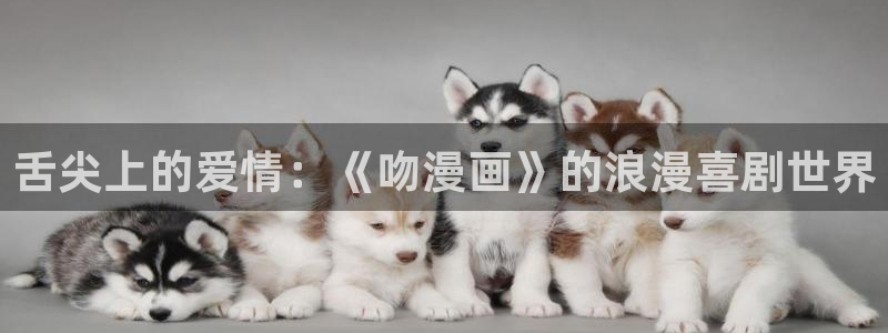 漫蛙官网app下载免费