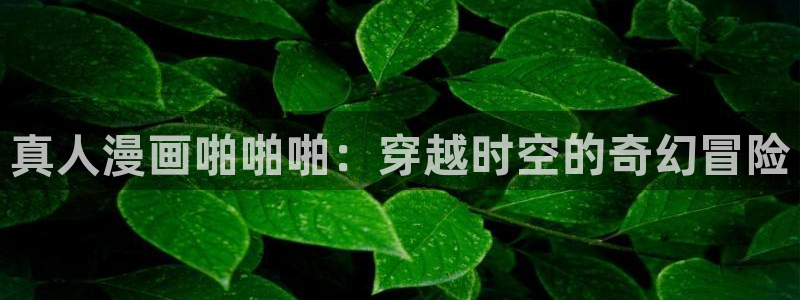 漫蛙安卓app