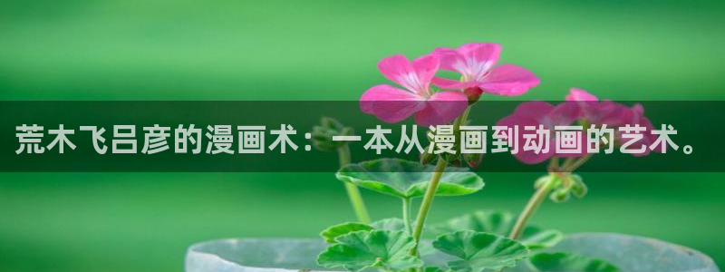 漫蛙2 网址