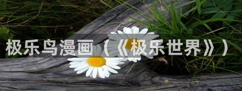 漫蛙官网登录入口