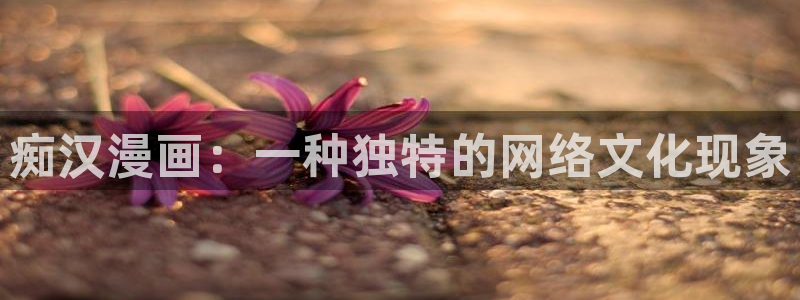 漫蛙2下载官网