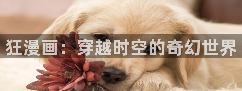漫蛙manwa2下载旧版