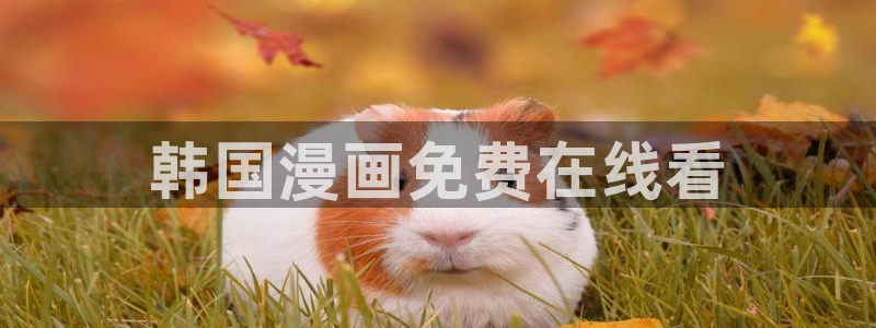 漫蛙网页免费版漫画阅读