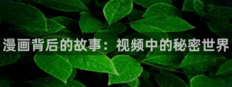 漫蛙a
