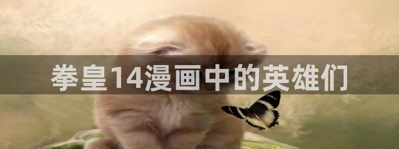 漫蛙代码