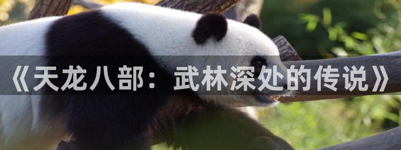 漫蛙manwa2漫画免费入口页面