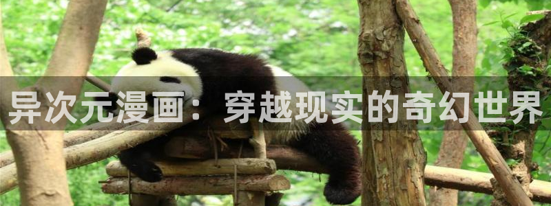 漫蛙网页官网