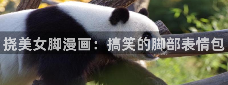 漫蛙正版app下载