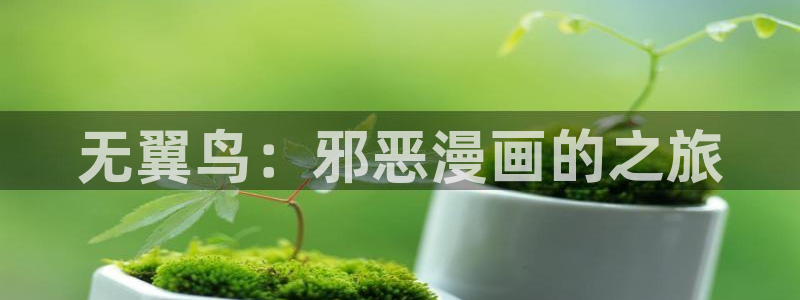 小米怎么下载漫蛙：无翼鸟：邪恶漫画的之旅
