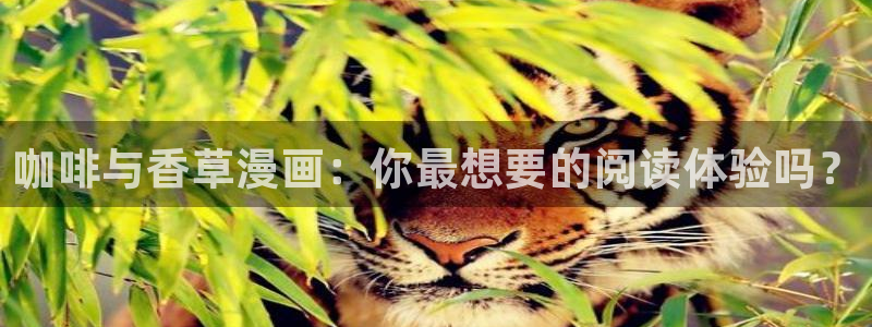 漫蛙2免费安装