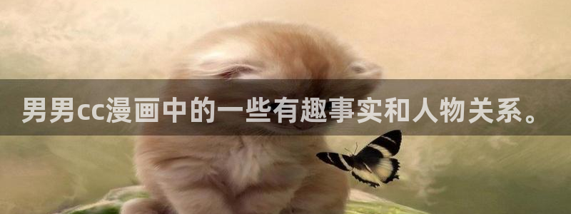 如何下载漫蛙