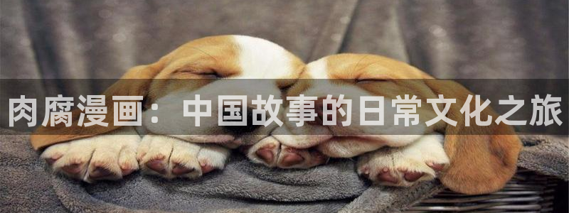 漫蛙网址有哪些