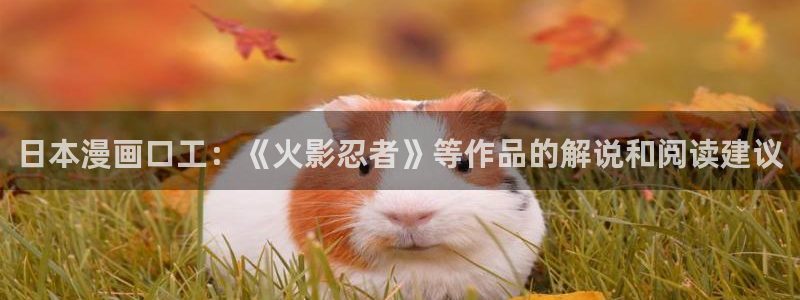 下载漫蛙