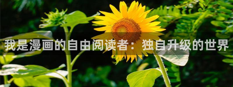 漫蛙漫画免费下载安装