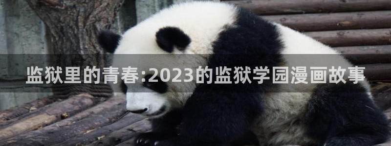 漫蛙*