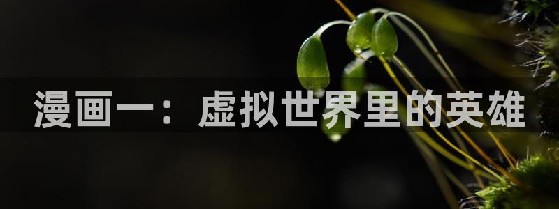 漫蛙manwa2下载ios