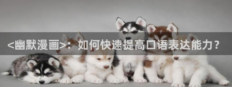 漫蛙官方下载