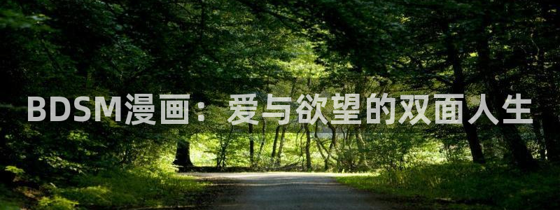 漫蛙2网页版免费进入