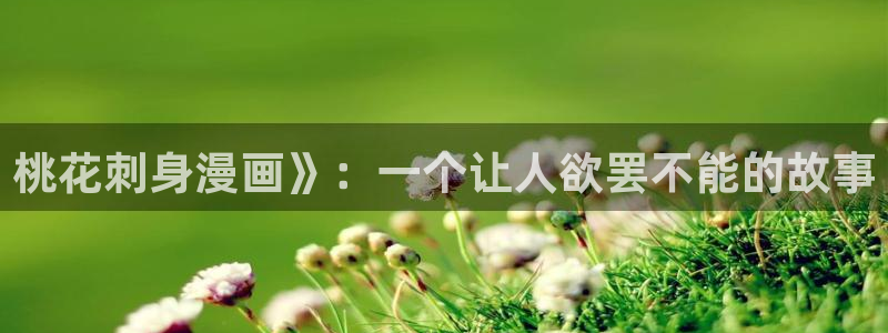 漫蛙2下载app