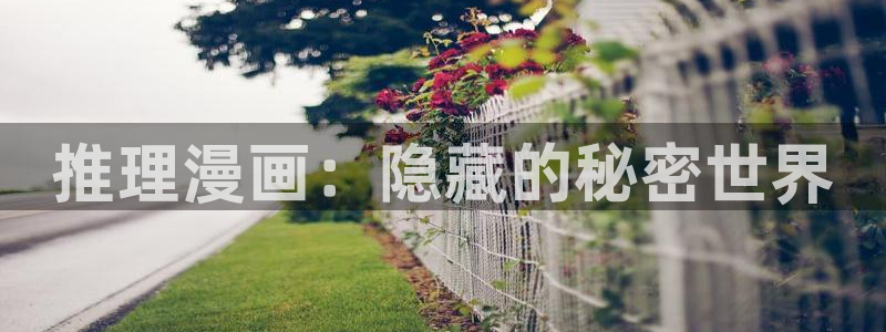 漫蛙是正规的吗